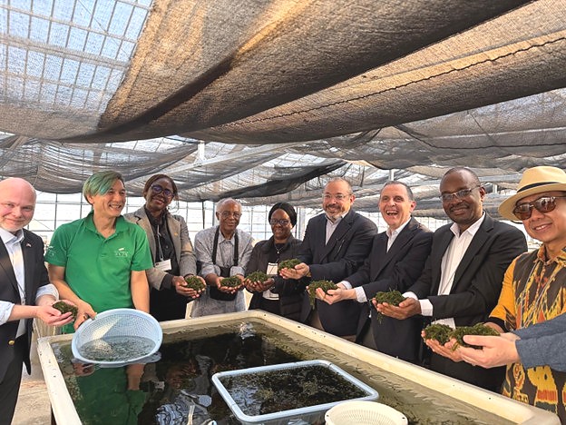 Ambassador Mutatembwa visits a sea grapes farm in Okinawa during a diplomatic study tour, joining international delegates to learn about sustainable aquaculture and marine innovation.